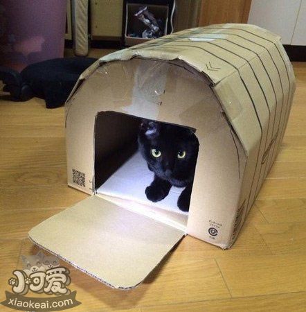 怎么用纸箱做猫窝2