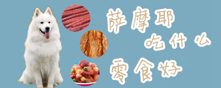 萨摩耶吃什么零食好1