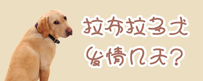 拉布拉多犬发情几天