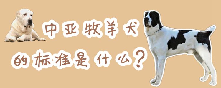 中亚牧羊犬的标准是什么
