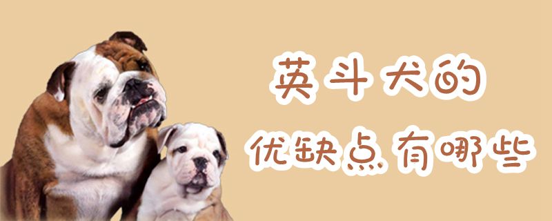 英斗犬的优缺点有哪些