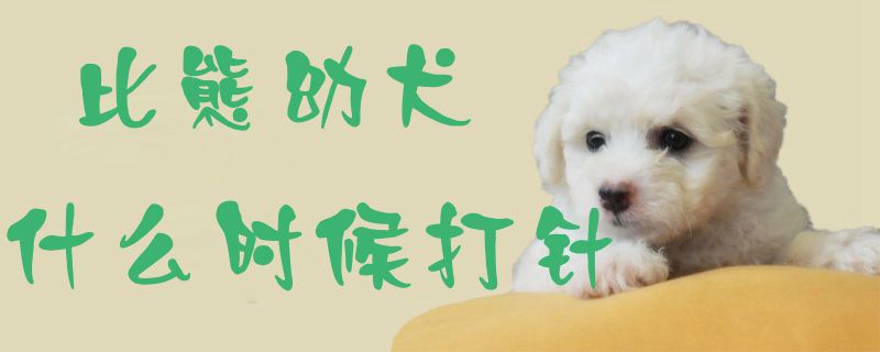 比熊幼犬什么时候打针