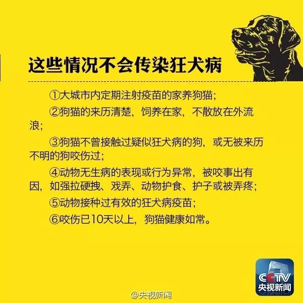 当不幸被猫狗抓伤我们首先应当如何处理当不幸被猫狗抓伤我们首先应当如何处理