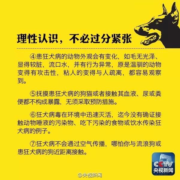 当不幸被猫狗抓伤我们首先应当如何处理当不幸被猫狗抓伤我们首先应当如何处理