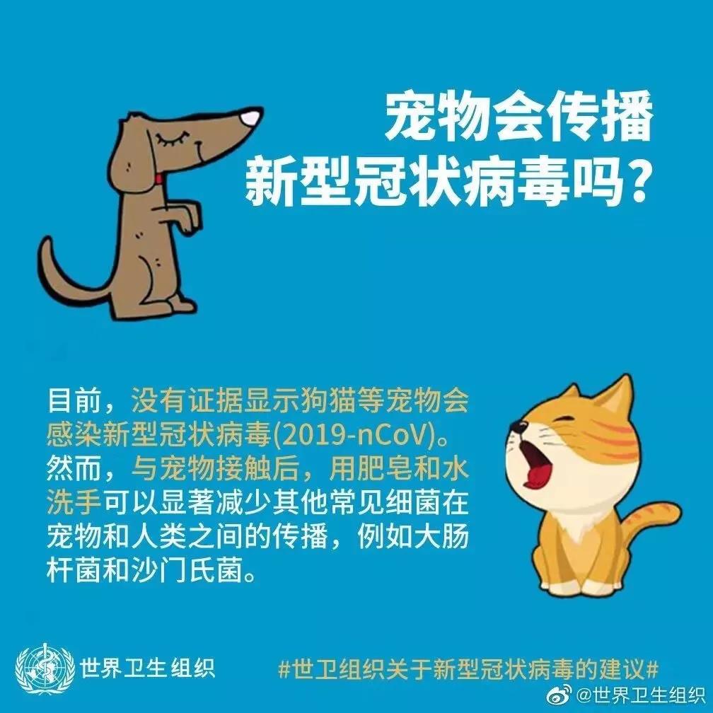 武汉病毒会传染猫狗吗 有哪些注意事项？