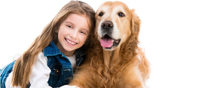 狗狗膈疝有什么症状 如何护理？狗狗膈疝有什么症状 如何护理？