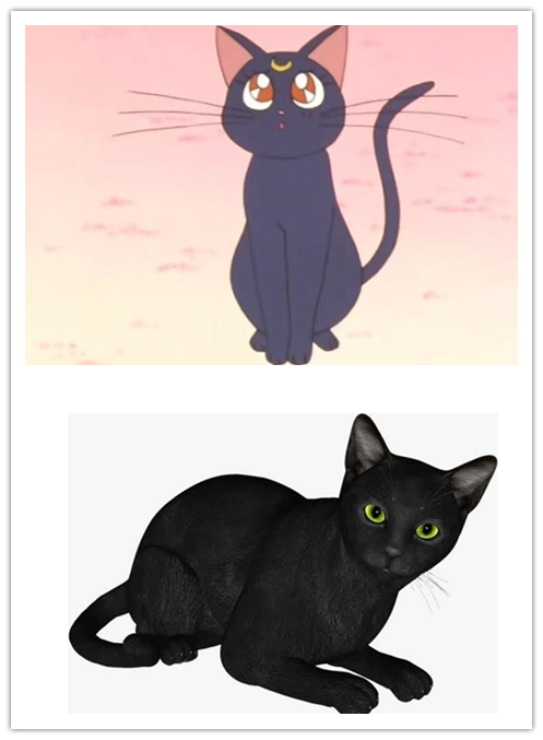 黑猫警长是什么猫 这些动漫中的猫你知道是什么品种吗？黑猫警长是什么猫 这些动漫中的猫你知道是什么品种吗？黑猫警长是什么猫 这些动漫中的猫你知道是什么品种吗？黑猫警长是什么猫