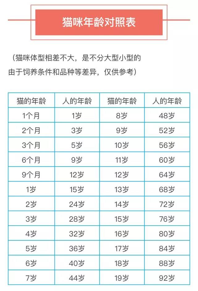 猫可以活多少年 寿命和饮食、护理、品种都是有关的！猫可以活多少年 寿命和饮食、护理、品种都是有关的！