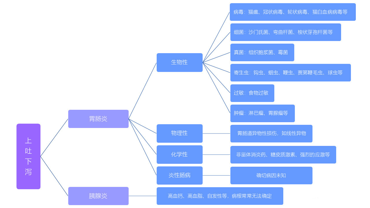 猫咪上吐下泻能自愈吗 疾病问题是不可能自愈的猫咪上吐下泻能自愈吗 疾病问题是不可能自愈的猫咪上吐下泻能自愈吗