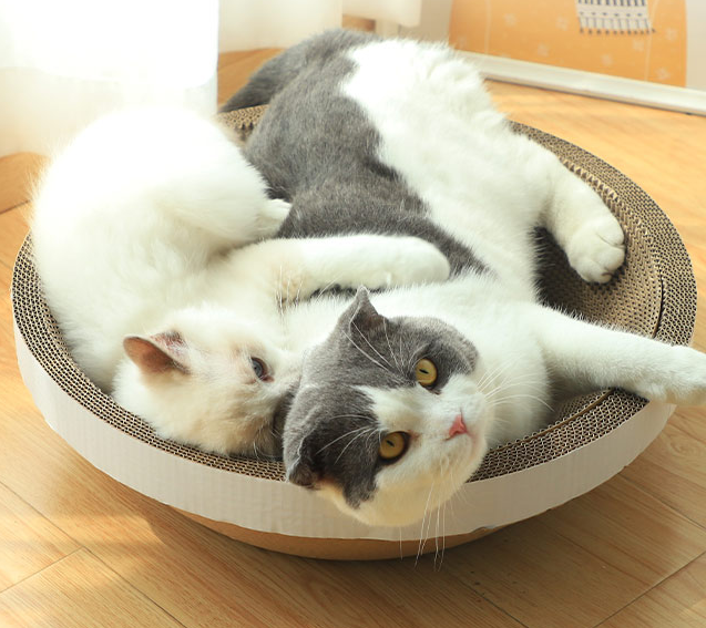 猫抓板什么材质比较好 挑选猫抓板这些你懂吗？