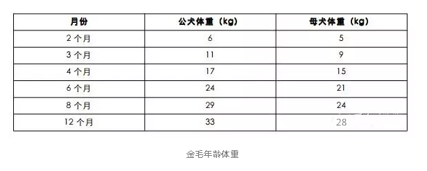 金毛体重与年龄对照表