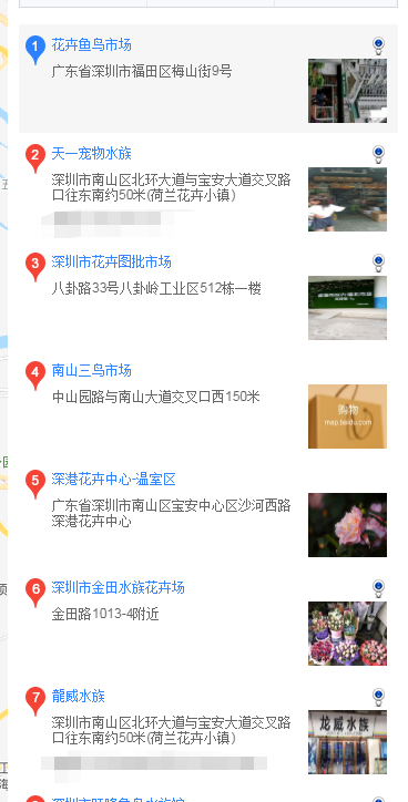 深圳哪里买萨摩耶 深圳在什么地方买萨摩耶