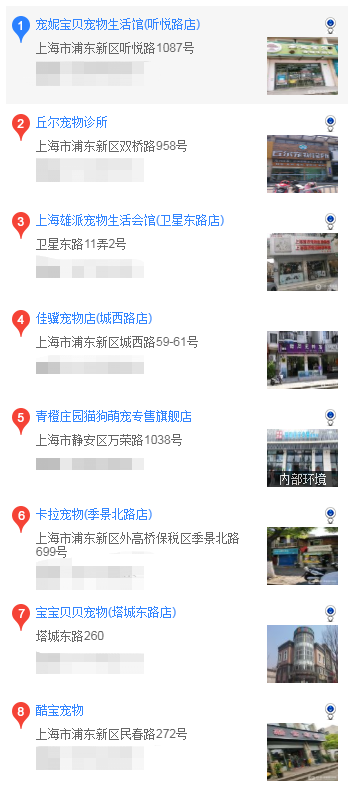 上海哪里可以买萨摩耶 上海在什么地方可以买萨摩耶
