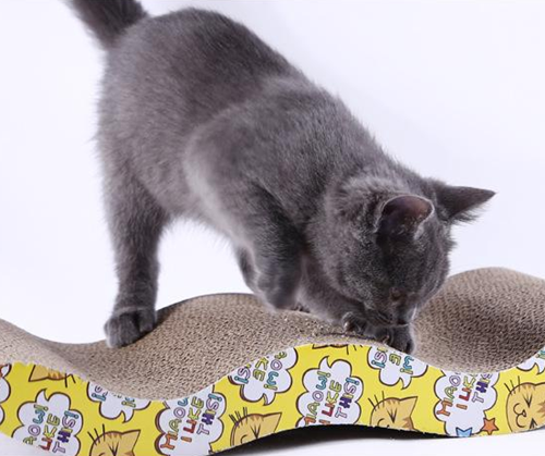 猫为什么用脸舔猫抓板 猫抓板上有食物残渣