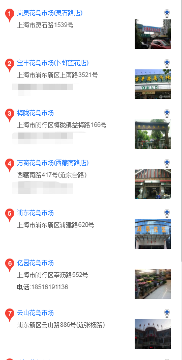 上海哪里买蝴蝶犬 上海什么地方可以买蝴蝶犬