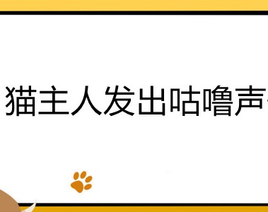 猫主人发出咕噜声代表什么