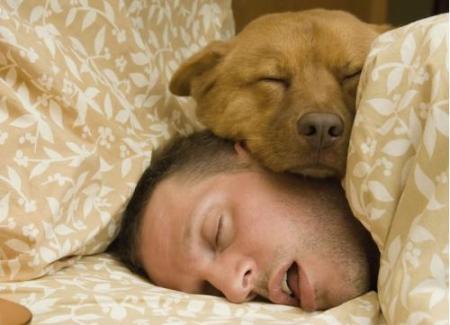 狗狗趁你睡着时做这些事，表示它爱你！
