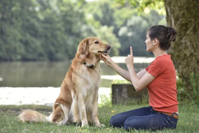 狗狗眼里的主人分为6种，你是哪一种？