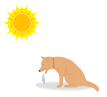 中暑还是空调病，狗狗必须选一个？