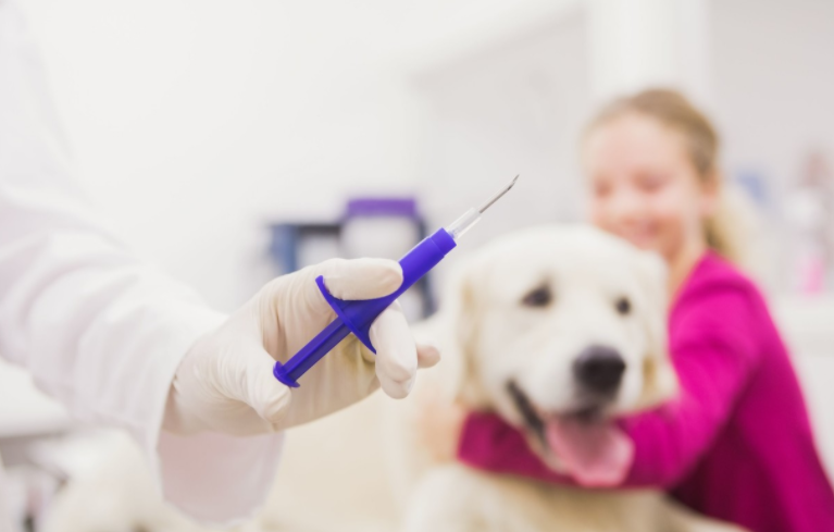 你的疫苗打错啦 关于狗狗疫苗的五大谣言