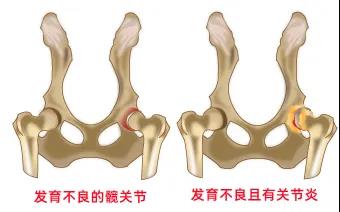 一种病不致命，却折磨82种以上的狗…