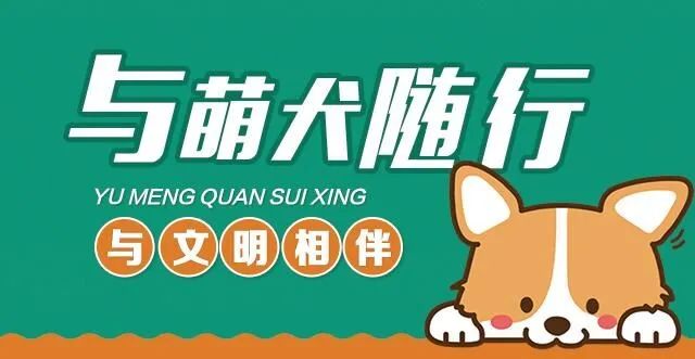 《大冶市城区养犬管理办法》正式印发！2022年5月1日起施行