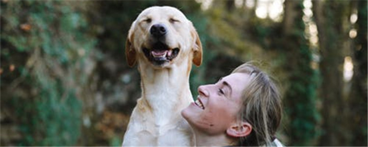 狗狗换牙要几个月 狗狗的乳牙和犬齿有什么区别