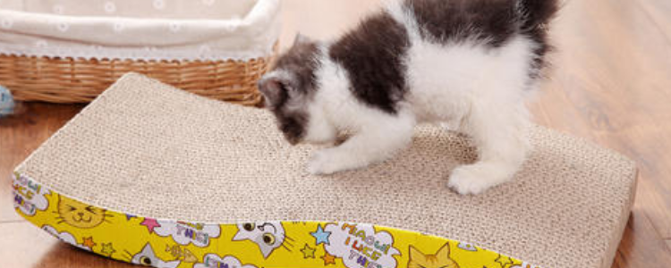 猫玩具制作  自制猫抓板