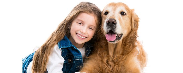 老龄犬饲养管理：饲养老年狗狗的10条建议