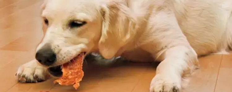 狗狗吃什么肉好 你知道狗狗吃什么肉最有营养吗