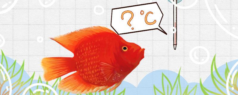 财神鱼是热带鱼吗